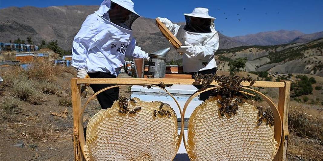 Şehirden kırsala yerleşip üretime geçtiler! 30 kovandan sayıları 350’ye çıktı: Yılda 2,5 ton üretim yapıyorlar 5